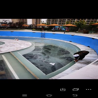 Pared de acrílico transparente y transparente para la piscina exterior de poliéster para la diversión familiar