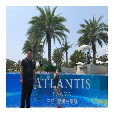 Ventanas modulares y paneles acrílicos Hojas de plástico para la piscina de la demanda del cliente