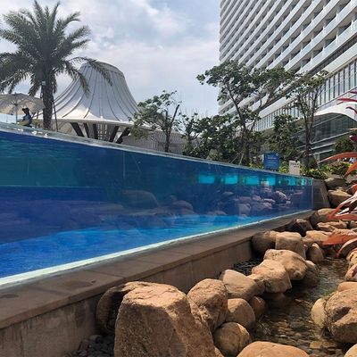 Transmisión de luz de alta transparencia Universidad personalizada sobre el suelo Piscina