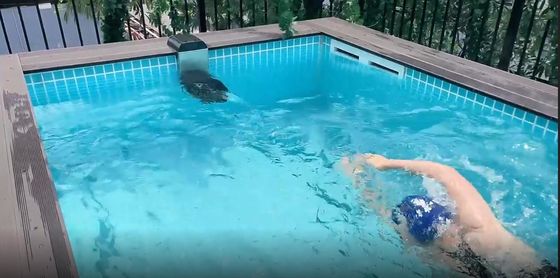 Piscina de lujo modular prefabricada con ventana de paneles acrílicos y paneles de patrón de mosaico