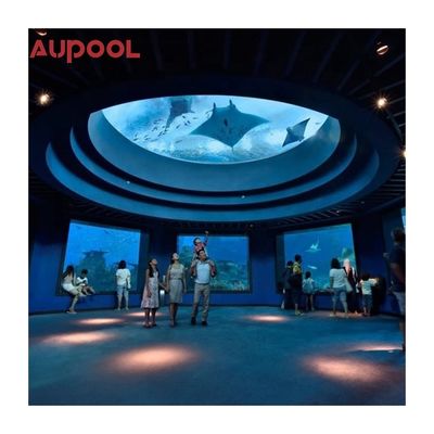 Piscina acrílica AUPOOL Jardín patio trasero Spa de natación larga sin fin con cubierta y calefacción