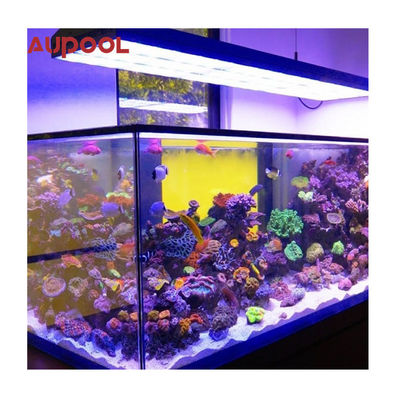 Pared de acrílico transparente para piscina acuario paisaje de jardín de espesor de 100 mm personalizado