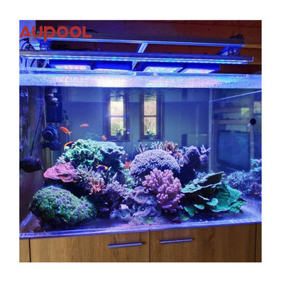 Pared de acrílico transparente para piscina acuario paisaje de jardín de espesor de 100 mm personalizado