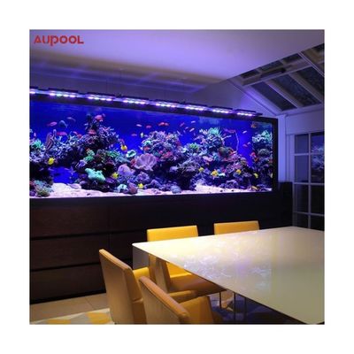 Piscina al aire libre y buceo con acrílico 100% puro de Lucite por Sublue Piscinas de buceo