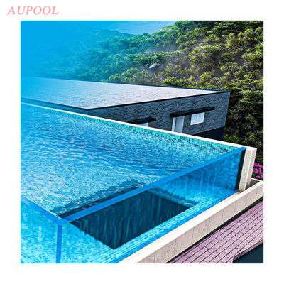 Limpiador de piscina transparente Limpiador de cabeza triangular para piscina familiar
